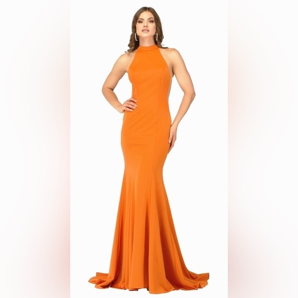 Abby Paris by Lucci Lu Gown in Burnt Orange Sz 18 - Picture 1 of 13